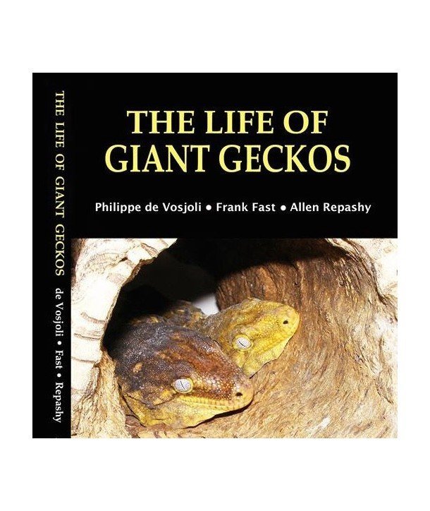 The Life Of Giant Geckos