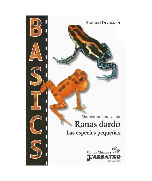 Mantenimiento y cria de Ranas dardo, las especies pequeñas