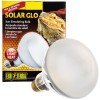 Exo Terra Solar Glo 125W