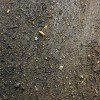 Adhesivo para fondos de terrario, bote de 1 litro