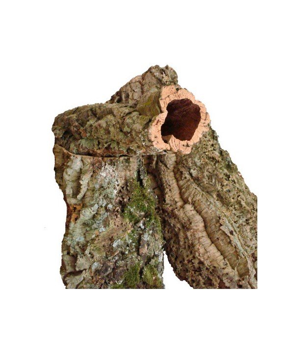 Tubo de corcho natural aprox. 35cm, Ø aprox. 8 cm