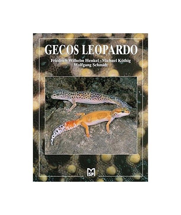 Gecos leopardo