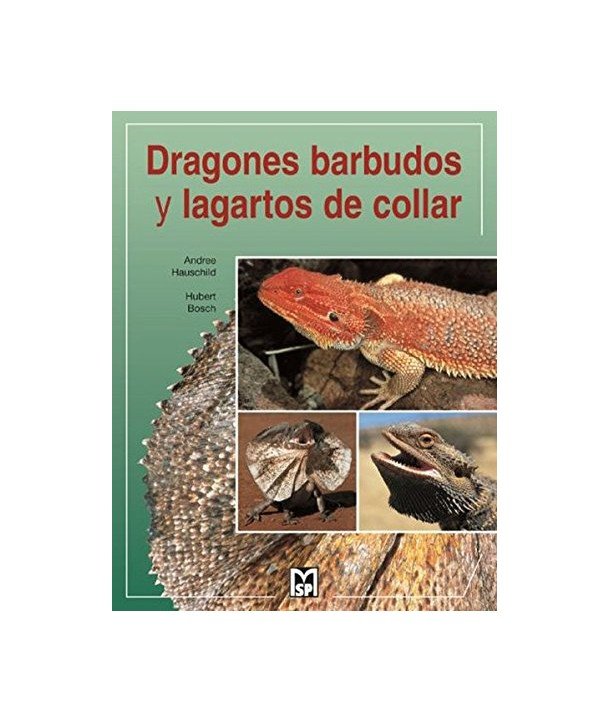 Dragones barbudos y lagartos de collar