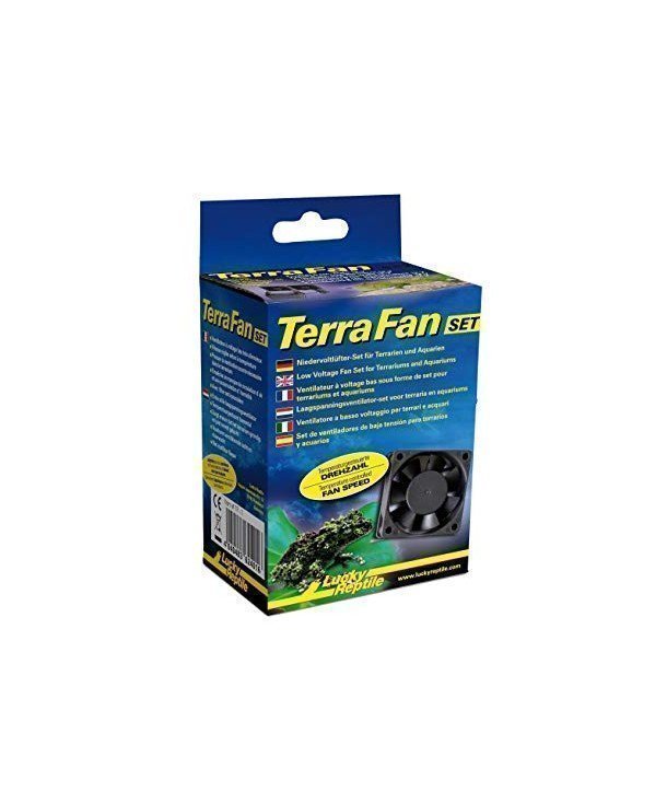 TERRA FAN SET