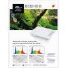 SKYLIGHT TUNY RH