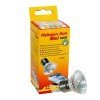Halogeno Sun Mini (2 Uds)
