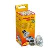 Halogeno Sun Mini (2 Uds)