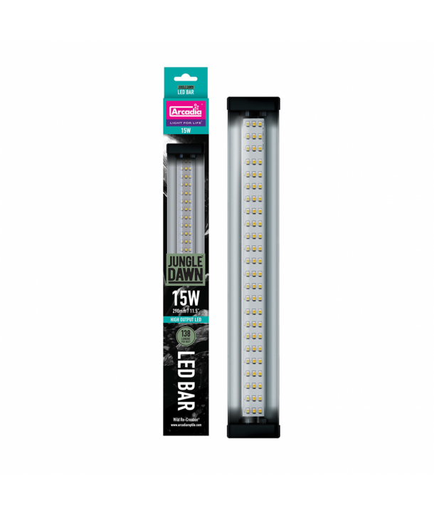 Jungle Dawn LED BAR