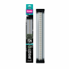 Jungle Dawn LED BAR
