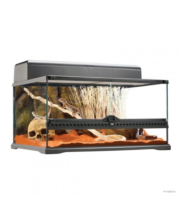 KIT EXO TERRA POGONA