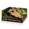 CRODODILE SKULL