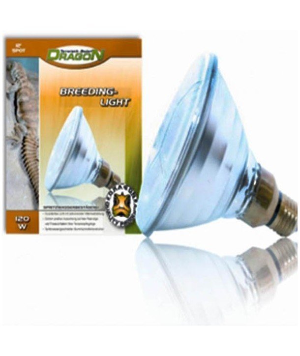 Breeiding Light 60 w. 